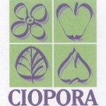 CIOPORA Elects New Board: The election in The Hague shows high degree of unity among members